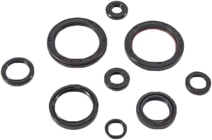 VERTEX Oil Seal Kit